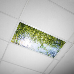 Octo Lights - Fluorescent Light Covers - Classroom, Office, Home - Tree - 006