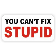 You Cant Fix Stupid Funny Hard Hat Sticker \ Decal Label \ Laborer Foreman USA