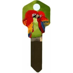 Parrots House Key Blank - Birds - Rosellas - Keys - Locks - KW1