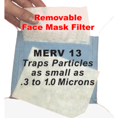 Face mask filter