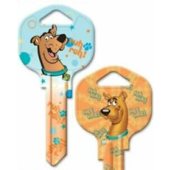 Scooby Doo House Key Blank - Warner Brothers - Looney Tunes - Collectable Key