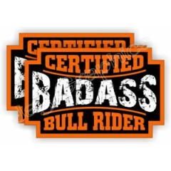 2 Badass BULL RIDER Rodeo Helmet Stickers Decals Labels Motorcycle Cowboy Spurs