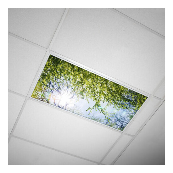 Octo Lights - Fluorescent Light Covers - Classroom, Office, Home - Tree - 006 image {1}