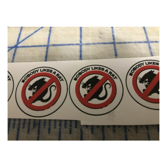  Funny NOBODY LIKES A RAT Hard Hat Welding Helmet Sticker Construction Decal  image {4}