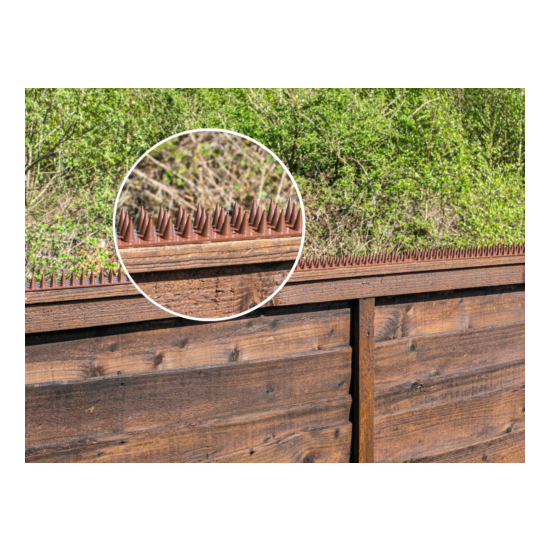 Fence Wall Spikes Garden Security Intruder Repellent Burglar Anti Cat Climb Bird image {3}