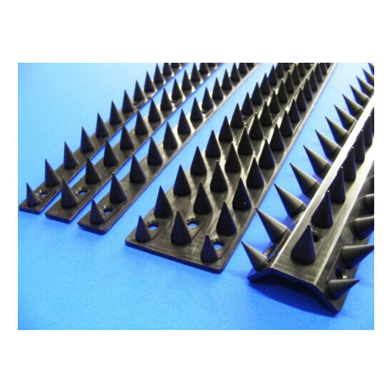 Anti Climb Spikes Fence Wall Security Spikes Bird Cat Repellent Prickle Strips image {3}