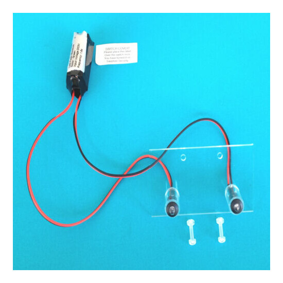 Dummy Alarm Box LEDs inc Fixing Kit + (10 Yr Battery) Twin Flashing Green LED's  image {1}