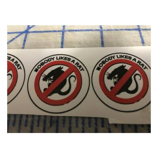  Funny NOBODY LIKES A RAT Hard Hat Welding Helmet Sticker Construction Decal  image {1}