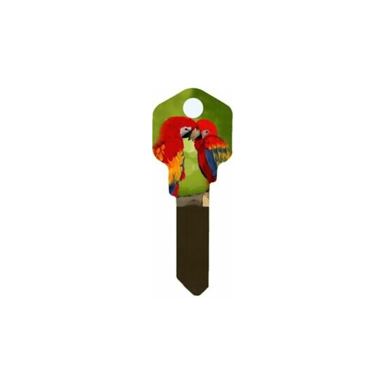 Parrots House Key Blank - Birds - Rosellas - Keys - Locks - KW1 image {1}