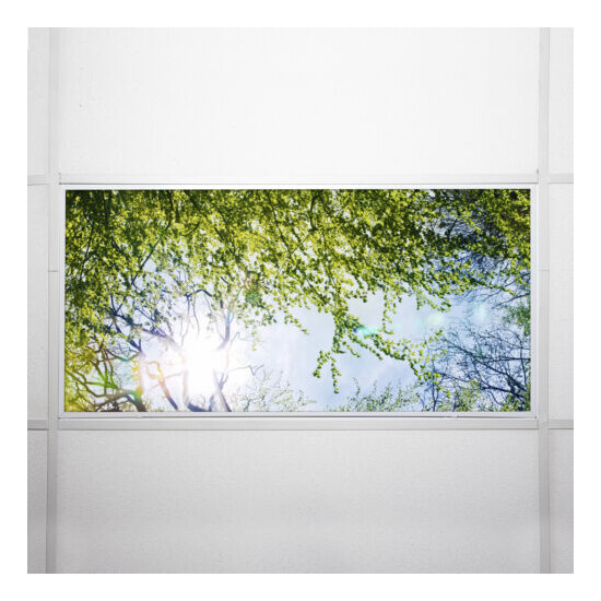 Octo Lights - Fluorescent Light Covers - Classroom, Office, Home - Tree - 006 image {7}