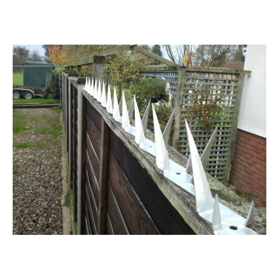 WALL SPIKE/ Fence Spike - 1m Barbed Wire alternative (WS1014) image {4}