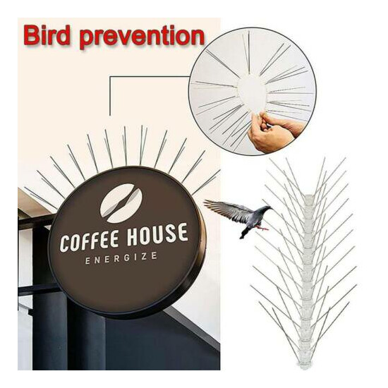 25CM Defender Bird Spike Fence Wall Anti-Bird Pigeon Repeller Deterrent Outdoor image {1}