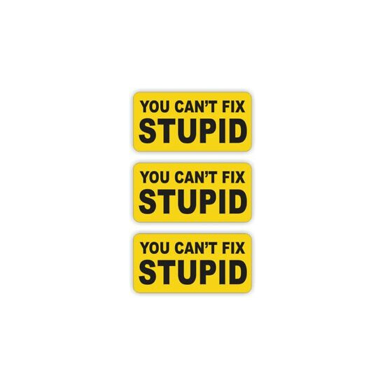 (3) Hard Hat Stickers / Cant Fix Stupid Funny Helmet Decals / Labels Laborer USA image {1}