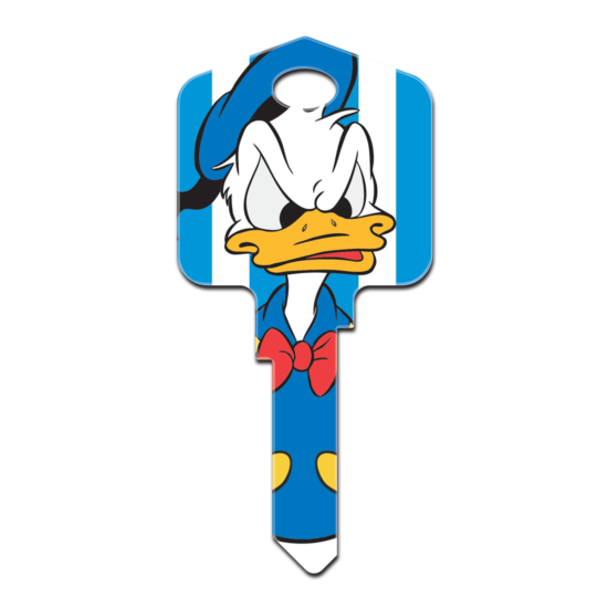 Disney Donald Duck House Key - Collectable Key - Donald Duck  image {1}