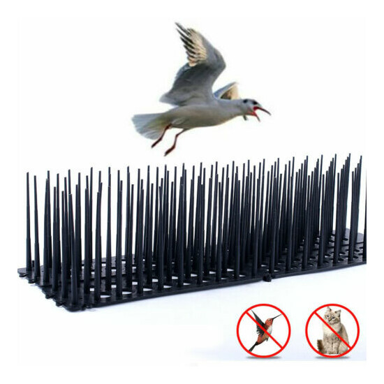 Bird Spikes Fence Cat Defender Plastic Fence Wall Spikes For Keep Off Birds- image {1}