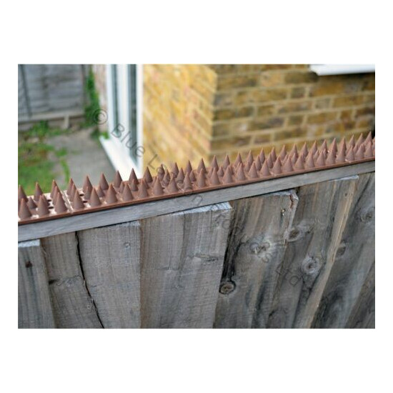 5 Metre Brown Wall Fence Spikes Anti Climb Security Cat Bird Repellent Deterrent image {1}