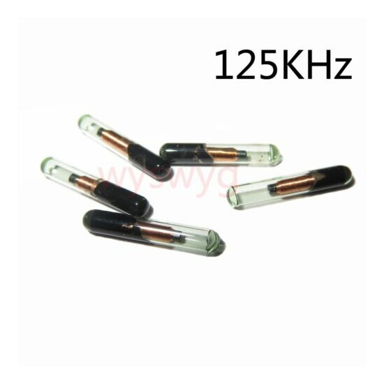 5pcs Micro Bio Glass Tag 125KHz RFID EM4100 Proximity Induction Token 2.12 x12mm image {1}