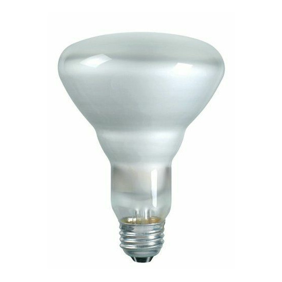 Philips 248765 Soft White 65-watt BR30 Indoor Flood Light Bulb, 12-Pack image {1}
