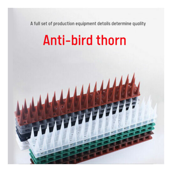 12PCS Anti-bird Thorn Nail Anti-theft Fence Wall Spike Repellent Deterrent Tool image {1}