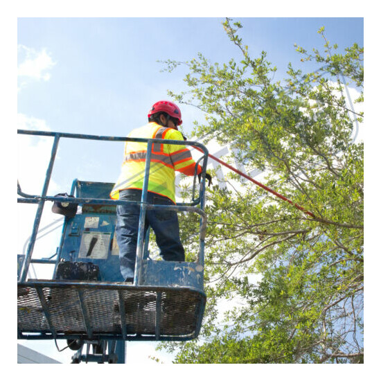 Tree Rock Safety Helmet, Construction Climbing Aerial Work Hard Hat JORESTECH Thumb {11}
