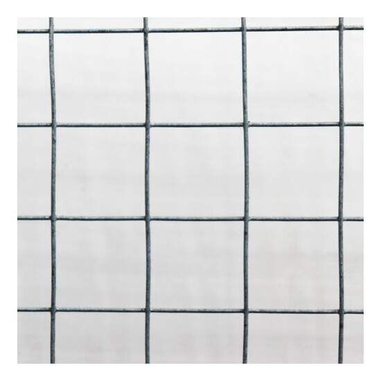 100m x 1m Aviaries Wire Mesh Grids Wire Mesh Wire Fence 19x19 image {5}