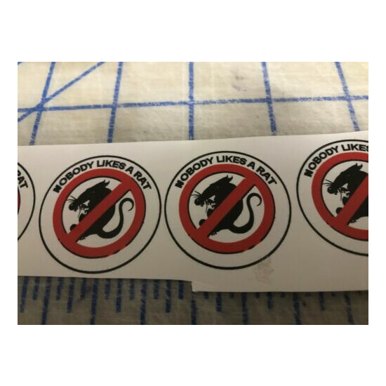 Funny NOBODY LIKES A RAT Hard Hat Welding Helmet Sticker Construction Decal  image {3}